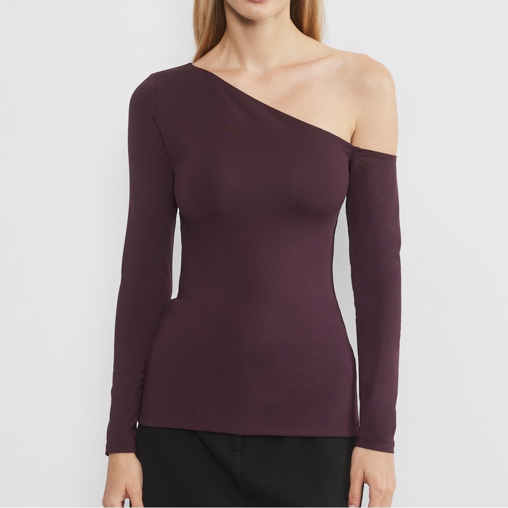Aritzia Plum Contour Installation Longsleeve Top
